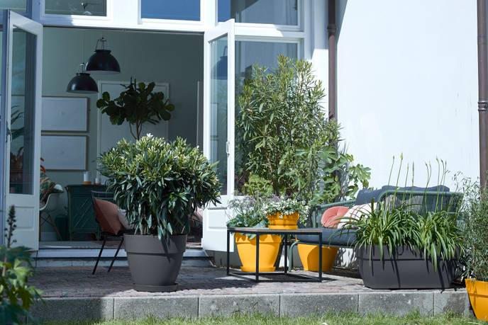 vibia campana coupe 27cm jaune miel
